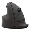 Image de Fellowes Breyta Plus+ - souris verticale - grand - Bluetooth, 2.4 GHz, USB-C - noir
