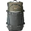Image de Lowepro Flipside Trek BP 250 AW gris/vert foncé