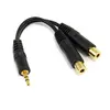 Image de Câble Audio Jack (3,5 Mm) Coupleur Startech Muy1mff Noir 0,15 M
