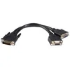 Image de StarTech.com Cable 20 cm LFH 59 male vers femelle double VGA DMS 59 - cable VGA - 20 cm