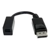 Image de StarTech.com 6in DisplayPort to Mini DisplayPort Video Cable Adapter - Adaptateur DisplayPort - 15.2 cm