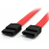 Image de Câble Sata Startech Sata12