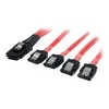 Image de StarTech.com Cable Mini SAS SFF-8087 vers 4 SATA avec verrouillage - Cable interne SAS vers 4 SATA - 1x SFF-8087 (M) 4x SATA (F) - 50 cm - cable SATA / SAS - 50 cm