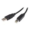 Image de StarTech.com Cable USB 2.0 A vers B de 2 m - Cordon USB A vers USB B - M/M - cable USB - USB pour USB type B - 2 m