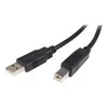 Image de StarTech.com Cable USB 2.0 A vers B de 50 cm - Cordon USB A vers USB B - M/M - Noir - cable USB - 50 cm