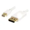 Image de StarTech.com Cable adaptateur Mini DisplayPort vers DisplayPort 1.2 1m - Cordon Mini DP a DP - Support HBR2 - M/M - DisplayPort 4K - Blanc - Cable DisplayPort - 1 m