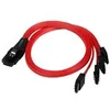 Image de StarTech.com Cable inverse SFF-8087 vers 4x SATA de 50 cm - Mini SAS interne vers SATA - cable SATA / SAS - 50 cm