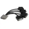 Image de StarTech.com Cable Repartiteur 1 VHDCI vers 4 DVI-D - M / F