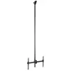 Image de Support De Tv Startech Fpceilptblp