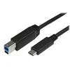 Image de StarTech.com Cable USB-C vers USB-B de 2 m - Cordon USB Type-C vers Type-B pour imprimante - M/M - USB 3.0 - cable USB - 24 pin USB-C pour USB Type B - 2 m