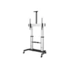 Image de StarTech.com Pied TV Mobile - Chariot Support Tele Robuste ecrans 60-100 100kg - Support TV ecran Plat sur Pied Roulettes - Hauteur Reglable - Support Television Universel + etageres (STNDMTV100) chariot - pour ecran plat - noir, argent