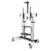 Image de StarTech.com Rolling TV Cart/Stand On Wheels, Up to 100inch/220lb Screens chariot - pour ecran plat - noir, argent
