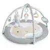 Image de Ingenuity Tapis D'éveil Moelleux Petit Mouton