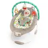 Image de Disney Baby Winnie Lourson Transat