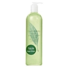 Image de Green Tea - Gel Douche Parfumé-500ml ELIZABETH ARDEN