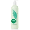 Image de Green Tea - Lait Parfumé pour le Corps-500ml ELIZABETH ARDEN
