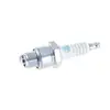 Image de Bougie NGK BR8HS-10 Standard