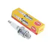 Image de Bougie NGK B10EG Standard