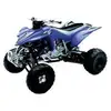 Image de Yamaha quad 450 YFZ 2008 1:12 NewRay bleu