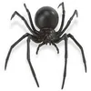 Image de Figurine Araignée noire - SAFARI - Modèle peint en plastique - Pour enfant de 3 à 9 ans