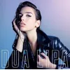Image de Dua Lipa [Vinyl] en occasion ou reconditionné