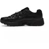 Image de Basket - NIKE - P-6000 - Noir - Tige textile respirante - Semelle caoutchouc - Ligne Stefan Janoski