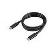 Image de LENOVO USB-C to USB-C Câble 1m