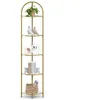 Image de VASAGLE Meuble Étagère dangle à 5 Niveaux Cadre en Métal Étagère de Rangement en Verre Trempé Antirouille Moderne Doré