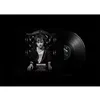 Image de Singles Collection (2001-2021) - Vinyle 33t en occasion ou reconditionné