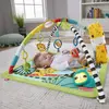 Image de Tapis De Jeu Fisher-price Rainforest, Arche/couverture De Jeu Hjw08