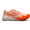 Image de Brooks Catamount 4