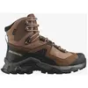 Image de Chaussures Salomon Quest Element GORE-TEX marron chocolat rose femme - 41(1/3)