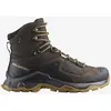 Image de Chaussures Salomon Quest Element GORE-TEX marron terre - 40(2/3)