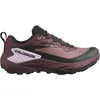 Image de Salomon Genesis GTX