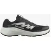 Image de Chaussures Salomon Alphaglide noir blanc - 42(2/3)