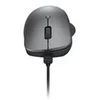 Image de Lenovo Professional - souris - Bluetooth 5.1 - gris orage