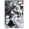 Image de Collection Poster Pokémon Unys - Foudre Noire et Flamme Blanche