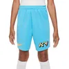 Image de Short Bleu Garçon Nike FD3147