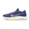 Image de Chaussures de Running Bleu Homme Nike Pegasus Turbo