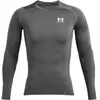Image de Maillot à manches longues Under Armour HeatGear® Gris L 1361524-025