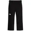 Image de Pantalon The North Face Descendit Regular noir - L