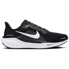 Image de Nike Pegasus 41