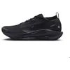 Image de Chaussures Trail Homme Nike Pegasus Trail 5 Gore-Tex