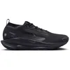 Image de Nike Pegasus Trail 5 GTX