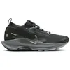 Image de Nike Pegasus Trail 5 GTX