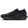 Image de Chaussures de trail Nike Pegasus Trail 5 Gore-Tex Noir