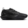 Image de Nike Pegasus Trail 5 GTX