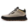 Image de Baskets Beige Homme Timberland Field Trekker Low Lace