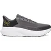 Image de Chaussures de running Under Armour Rogue 5 Gris 3028256-025