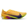 Image de Nike Streakfly 2